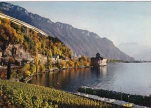 Switzerland Lac Leman La Vigne et le Chateau de Chillon en automme