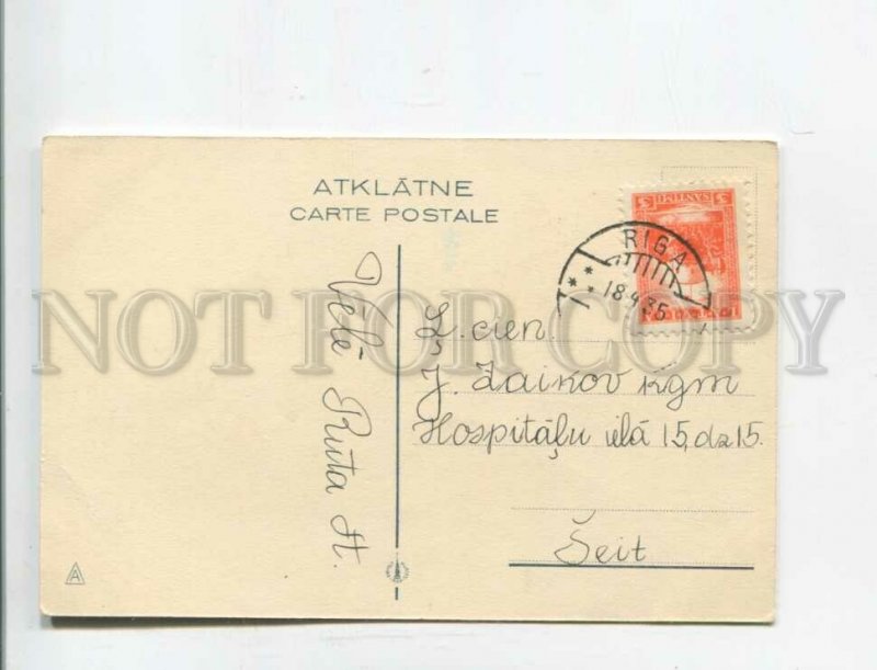 471901 EASTER Dressed RABBIT Bunny BUTTERFLY Egg Vintage postcard