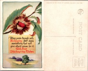 With Best Thanksgiving Wishes (13522