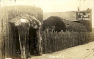 Real Photo - The Stump House - Eureka, California CA  