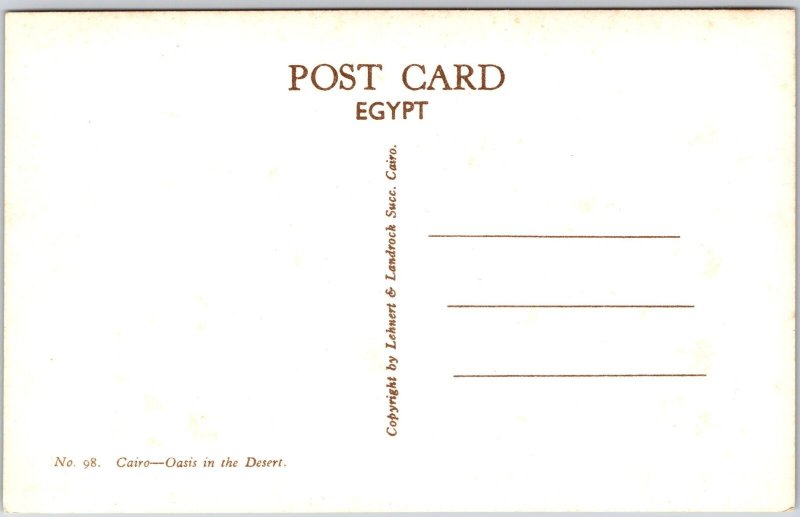 Cairo Oasis In The Desert Egypt Scenic Picturesque View Real Photo RPPC Postcard