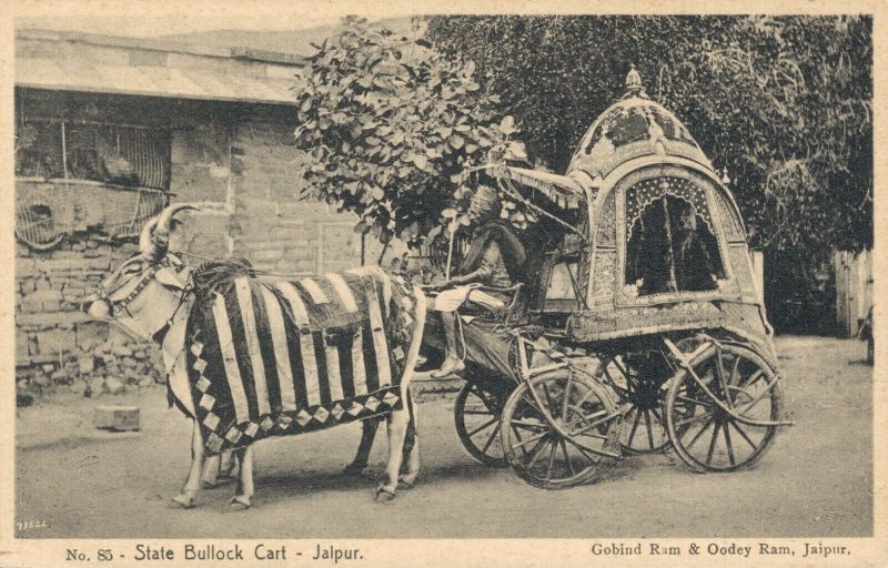 India - State Bullock Cart Jaipur 03.52