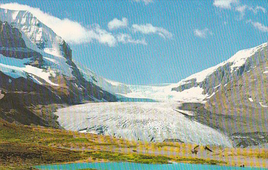 Canada Alberta Banff Columbia Ice Fields