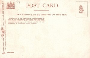 Newport Rhode Island RI Purgatory Chasm Cliffs Vertical Fissure Vintage Postcard