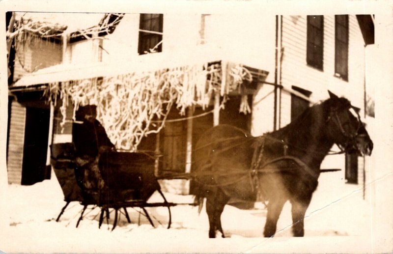 Horses Horse Pulling Sleigh In The Snow 23 February 1912