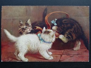 THREE KITTENS PLAYING WITH IN COPPER KETTLE c1919 Postcard by Raphael Tuck 8884