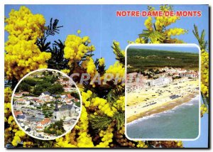 Modern Postcard Notre Dame de Monts