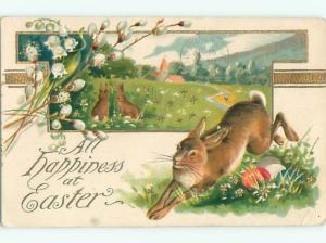 Divided-Back EASTER BUNNY RABBIT SCENE Cute Postcard AA1149