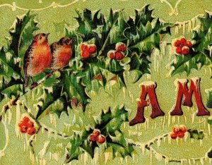 1907-15 A Merry Xmas Postcard Song Birds Holly Berries Embossed  