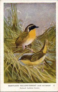 Maryland Yellow-Throat Allan Brooks  signed National Audubon Society Postcard