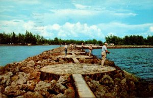 Florida Venice Fishermen On Gigantic Jetties 1973