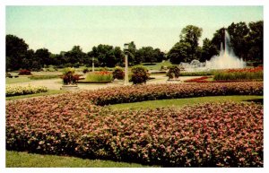 Postcard GARDEN SCENE Indianapolis Indiana IN AT3616