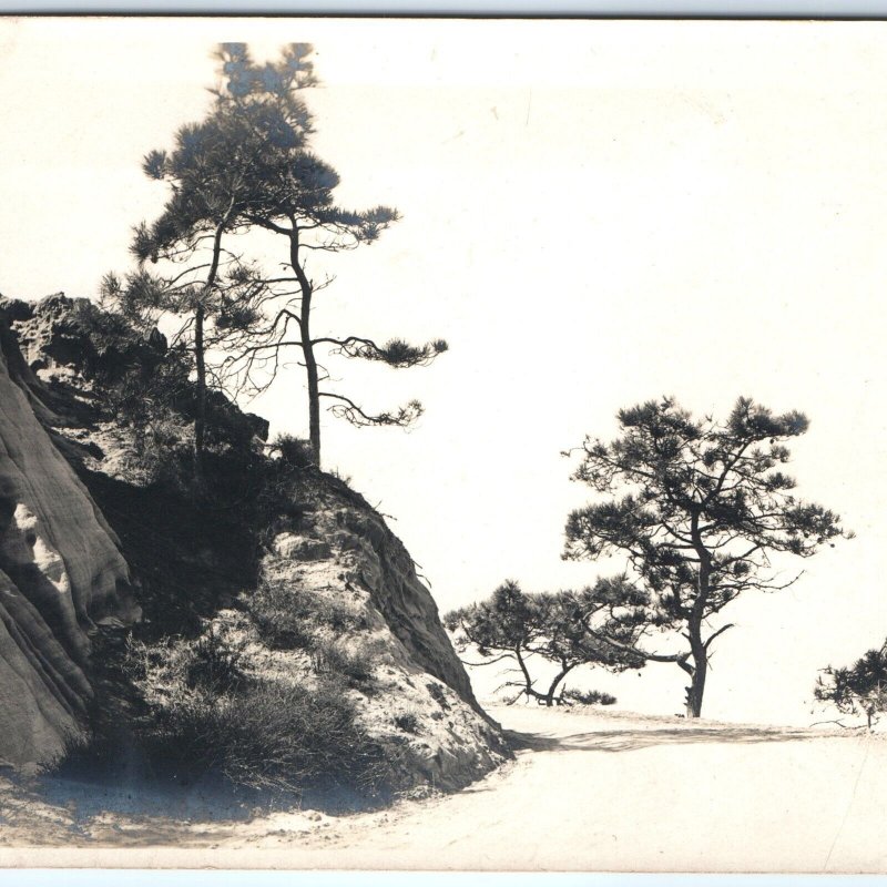 c1910s High-Altitude Cliff Road RPPC Majestic Trees Beautiful Photography A143