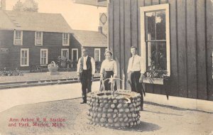 Marion Michigan Ann Arbor Railroad Station and Park Vintage Postcard AA23168