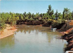 BR3033 Jericho River Jordan   israel