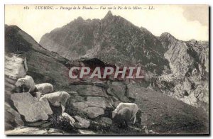 Old Postcard Luchon Passage of the Picade Peak View Mine Sheep