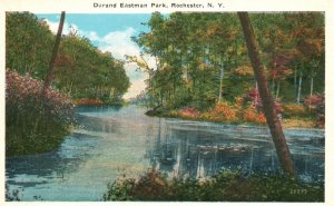 Rochester NY-New York, Durand Eastman Park Lake Scene Forest, Vintage Postcard