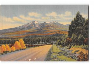 Near Flagstaff Arizona AZ Postcard 1930-1950 San Francisco Peaks