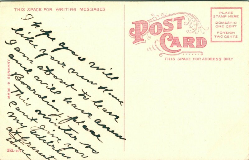 Vtg Cartolina Circa 1908 Park Pavé Ricerchi Toward Città - Appleton, Wisconsin