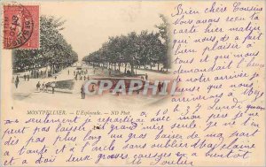 Old Postcard MONTPELLIER the Esplanade