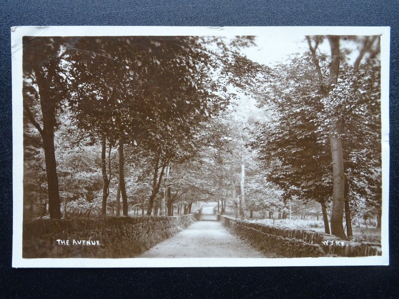 Yorkshire Bradford WYKE The Avenue c1921 RP Postcard