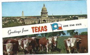 USA, unused, Lone Star, Texas
