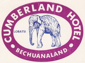 Bechuanaland Lobatsi Cumberland Hotel Purple Elephant Vintage Luggage Label s...