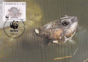 Arrau River Turtle Venezuela WWF Rare Stamp FDC Postcard