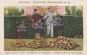 Southwick Trowbridge Potatoes Antique Wiltshire Farming Advertising Postcard