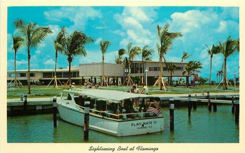 Florida Everglades National Park Sightseeing Boat Flamingos Postcard 22-3669