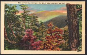 Linen colour PC Little Bald Mountain Great Smoky Mountains National Park unused