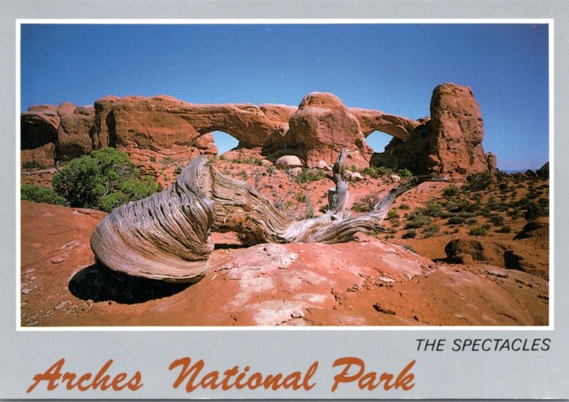 Postcard Arches National Park - The Spectacles  - North and South Windows