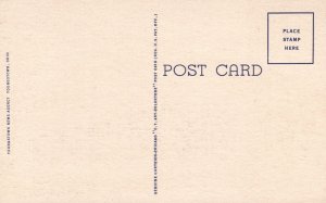 Vintage Postcard 1930s University of Youngstown Library Building Youngstown Ohio 