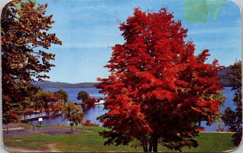 New York Lake George The Silver Bay Association Recreation Field & Lake Front