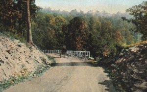 Horse and Buggy State Road Frostburg Cumberland MD. Postcard 2R4-290