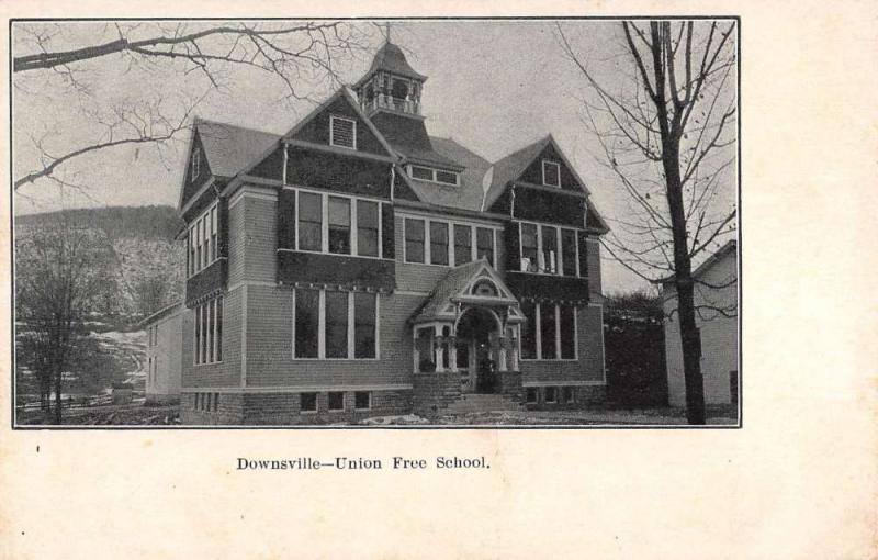 Downsville New York Union Free School Street View Antique Postcard K94408