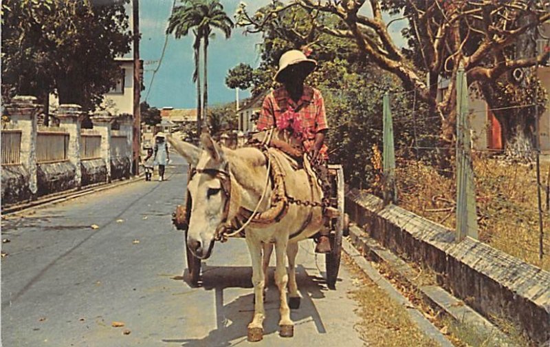 Donkey Cart Vendor Barbados West Indies Unused 