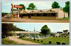 Webb's Motel & Restaurant   Dillon  South Carolina  Postcard