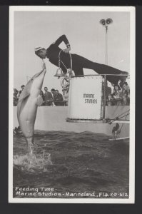 Florida ST. AUGUSTINE MARINELAND Feeding Time, Marine Studios - pm1954 RPPC