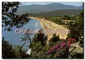 Postcard Modern Landscape tipical edge of Mediterranee Croix Valmer Var Beach...