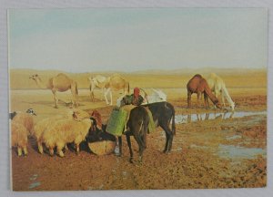 Judean Desert Near the Well in the Desert - Israel - Vintage Postcard