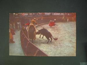Bullfighting Mexico Postcard