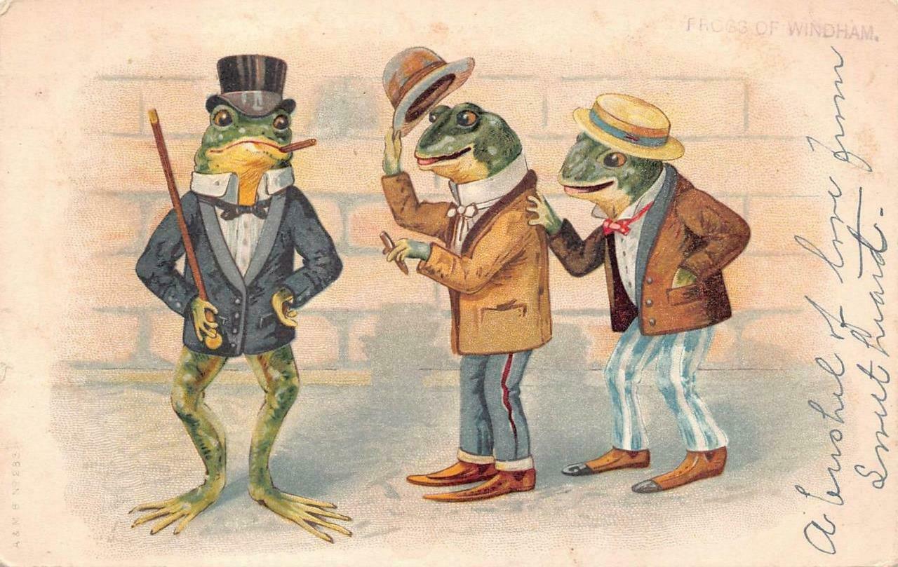 Frogs of Windham Connecticut Dressed Animals Cigar HAT Cane Comic