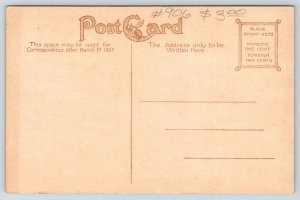 Memphis Tennessee~Overton Park Lily Pond~Log over Culvert~c1910 B&W Postcard