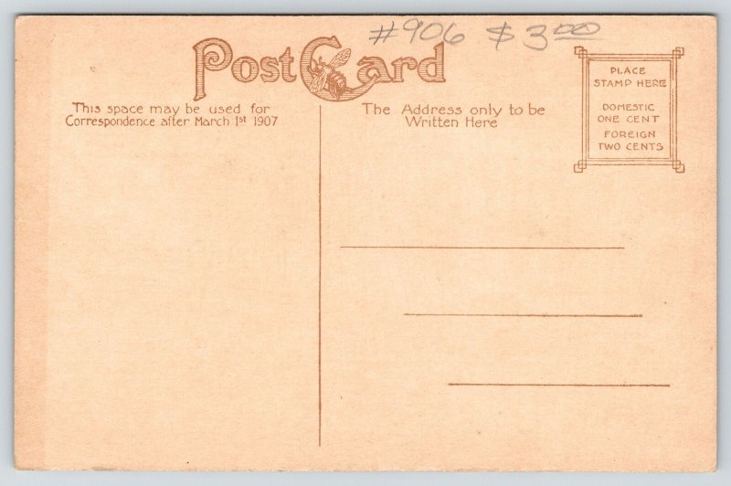 Memphis Tennessee~Overton Park Lily Pond~Log over Culvert~c1910 B&W Postcard