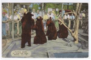 Playful Bears Glen Oak Park Peoria Illinois 1949 linen postcard