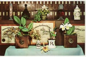 CA   LOS ANGELES   PRESCRIPTIONS, RARE DRUGS postcard