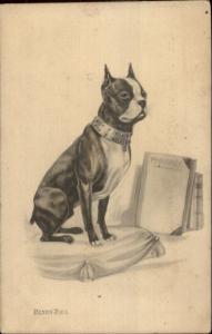 Boston Bull Terrier Dog Studded Collar Sketch Art c1910 Postcard