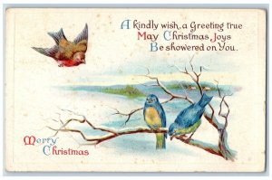 1922 Christmas Song Birds Winter Snow Embossed Seal Posted Vintage Postcard