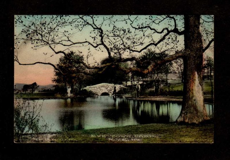 NY Rye Town Park New York Vintage Postcard